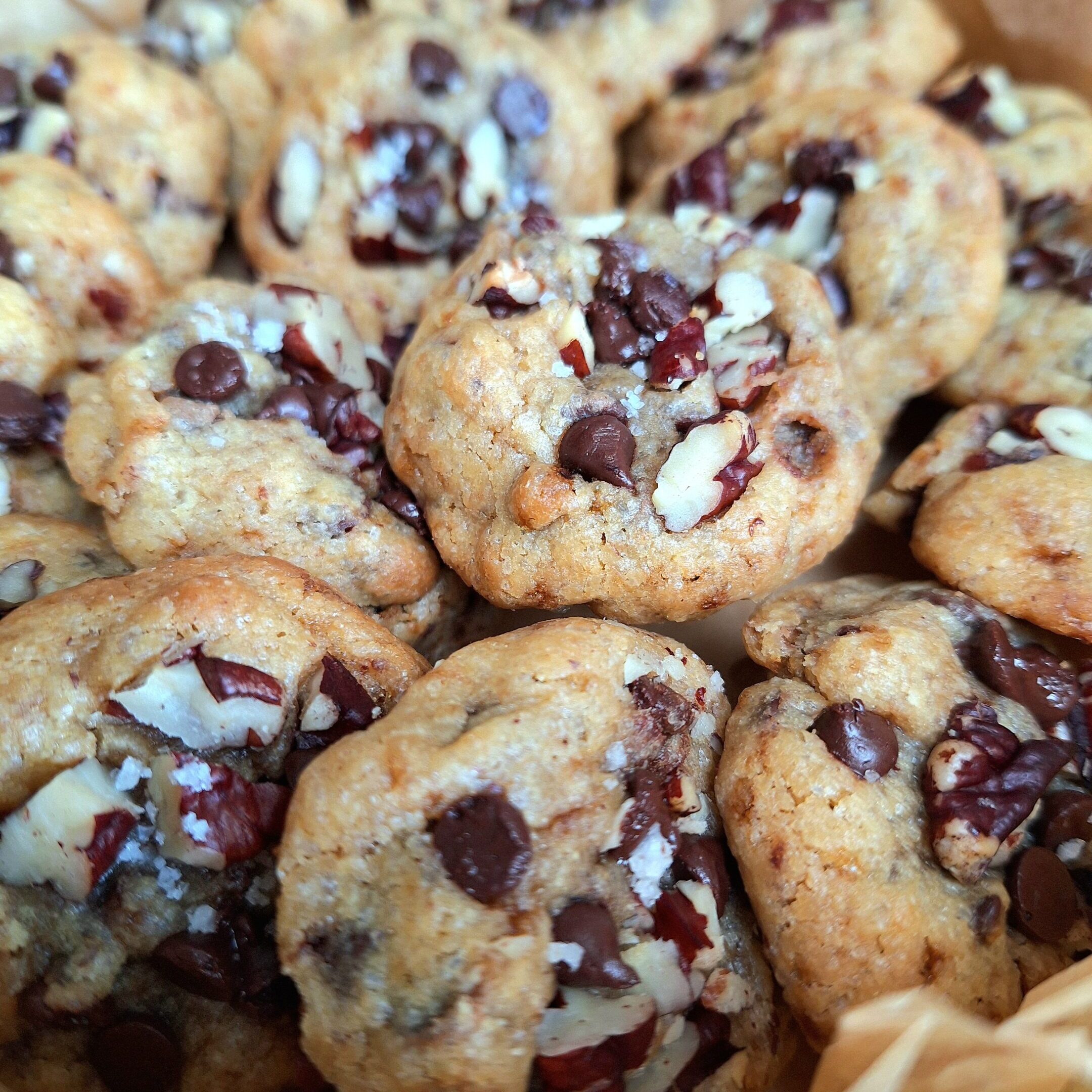 20241005_163511 20241005 163511 scaled e1728145782647