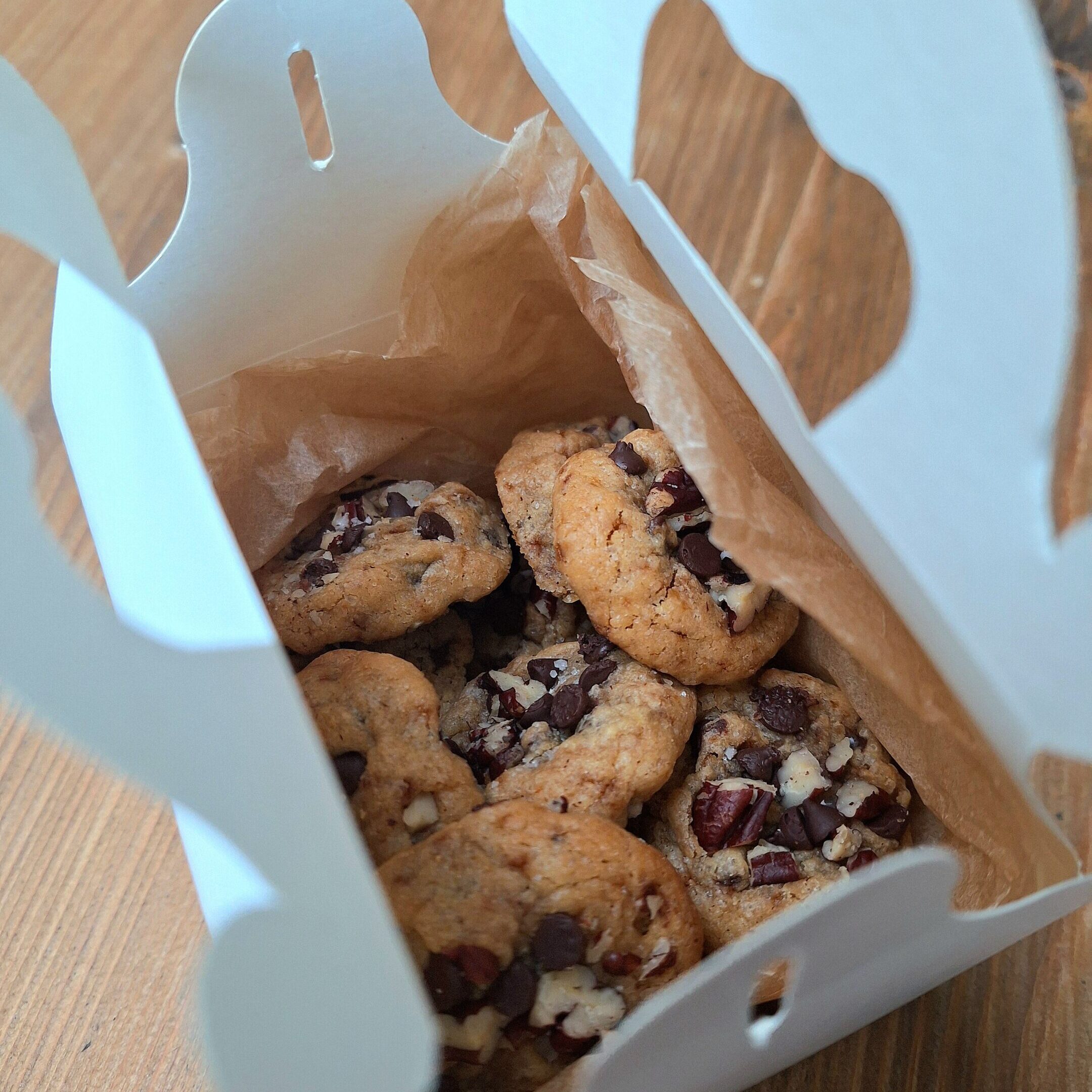 20241005_175549 20241005 175549 scaled e1728146005215