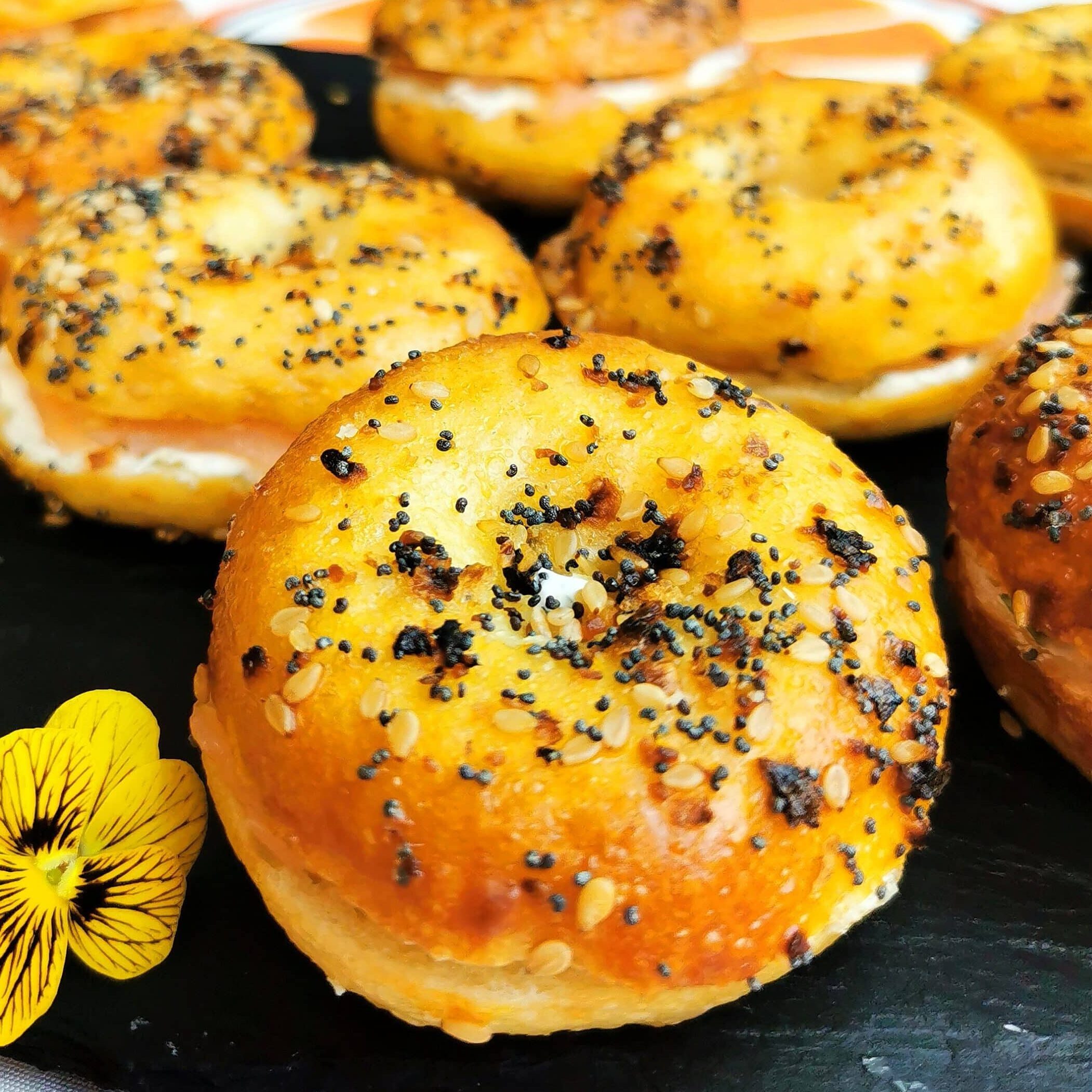 nfd IMG 20240704 145909 edit 143492263893729 scaled e1720196317990