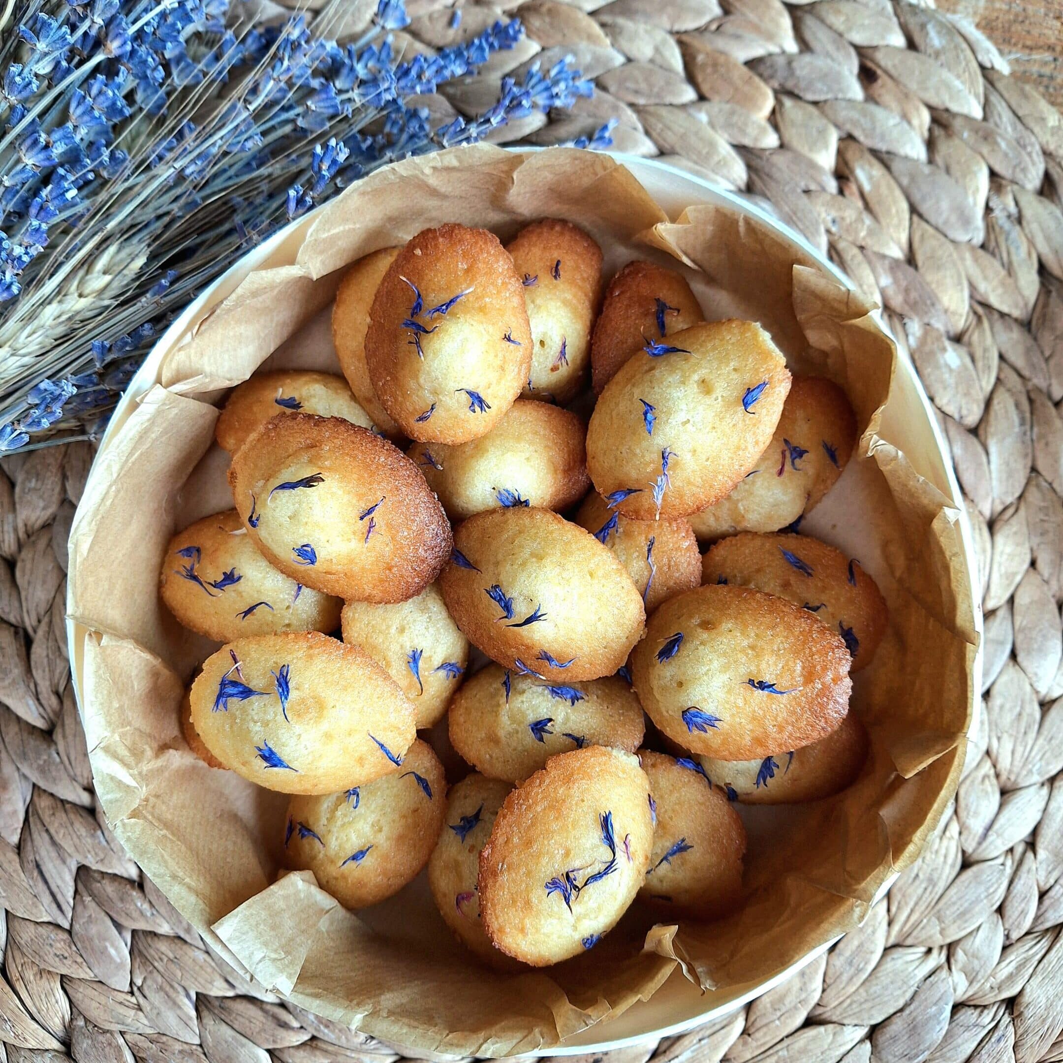 20241006 161955 scaled e1728228474475