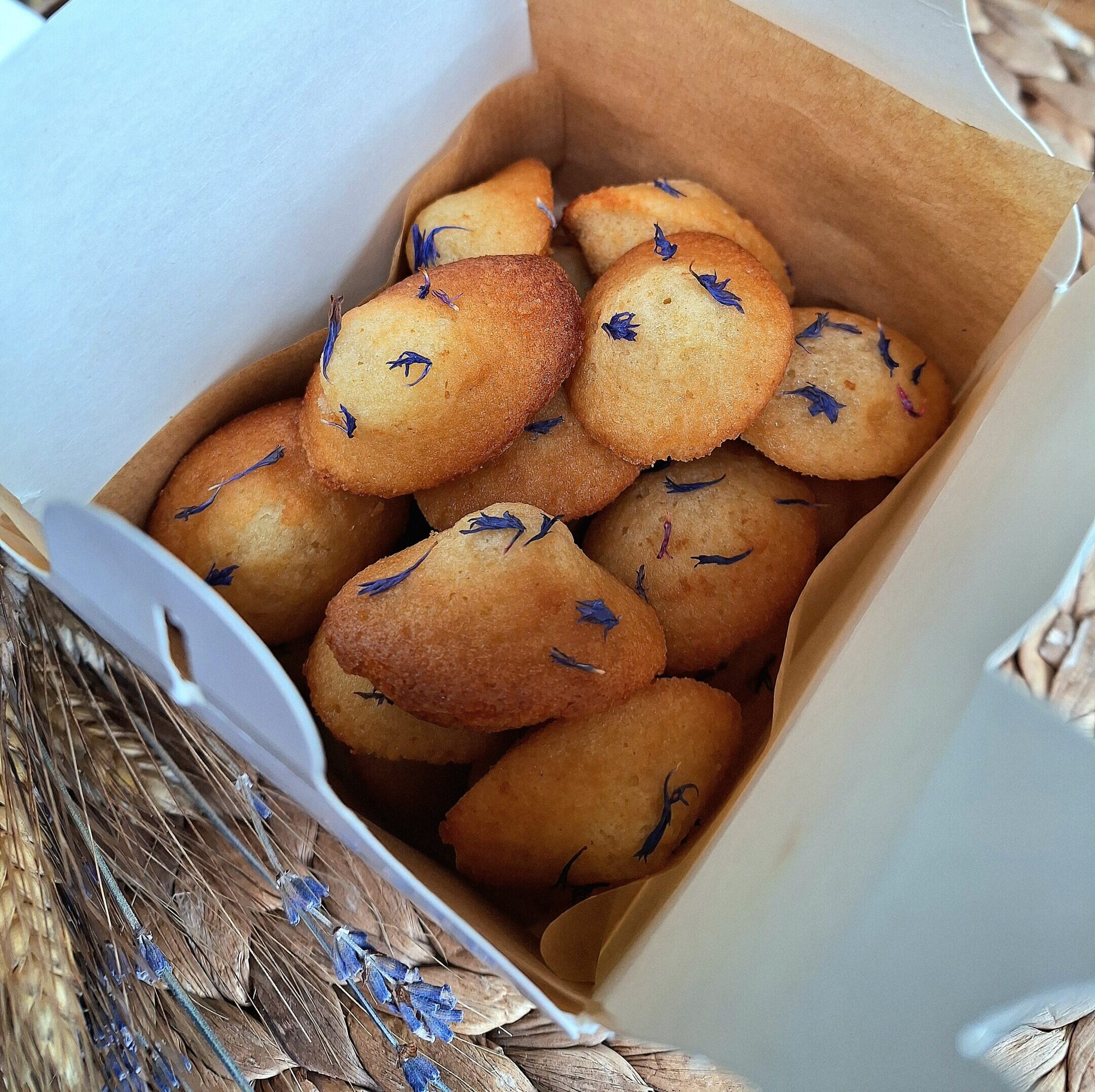 20241006 162603 scaled e1728228838759