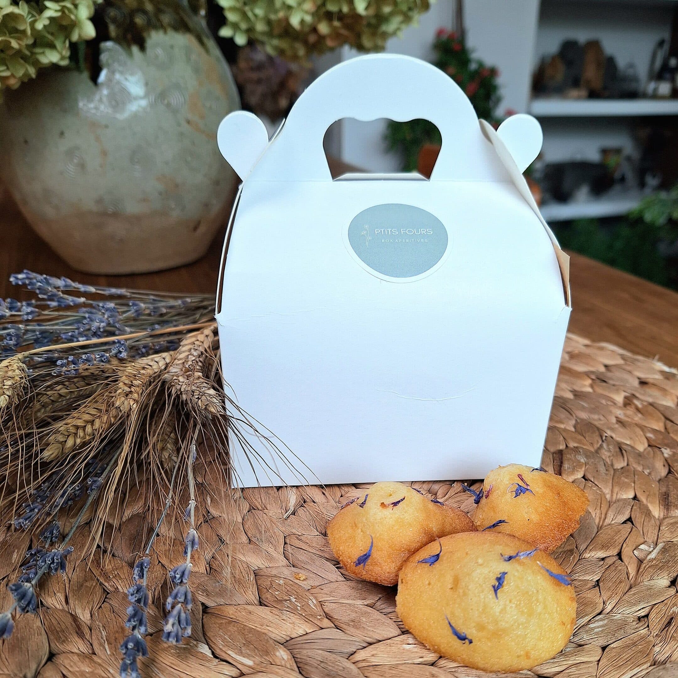 20241006 162853 scaled e1728229172216