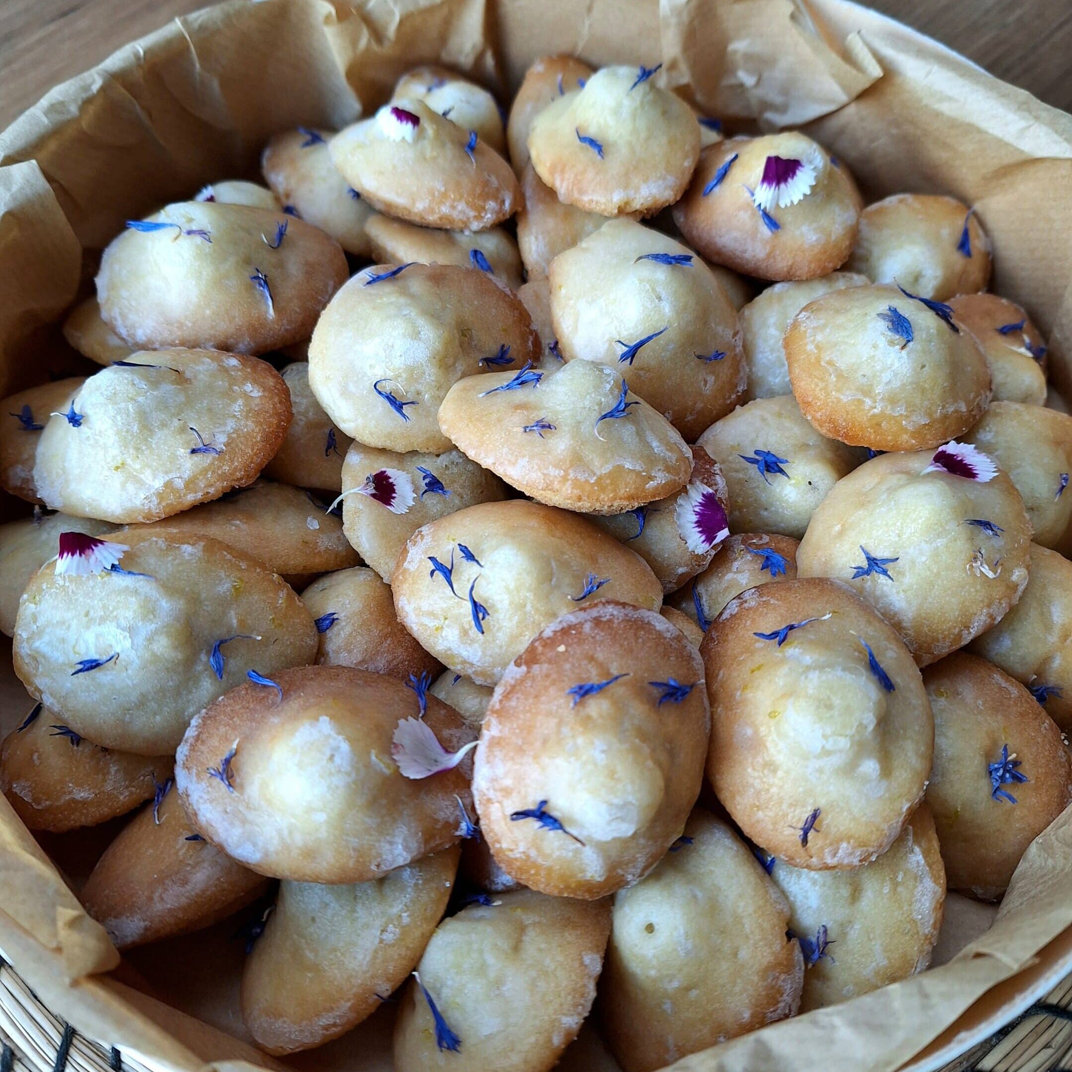 20241122 141256 scaled e1732458131705