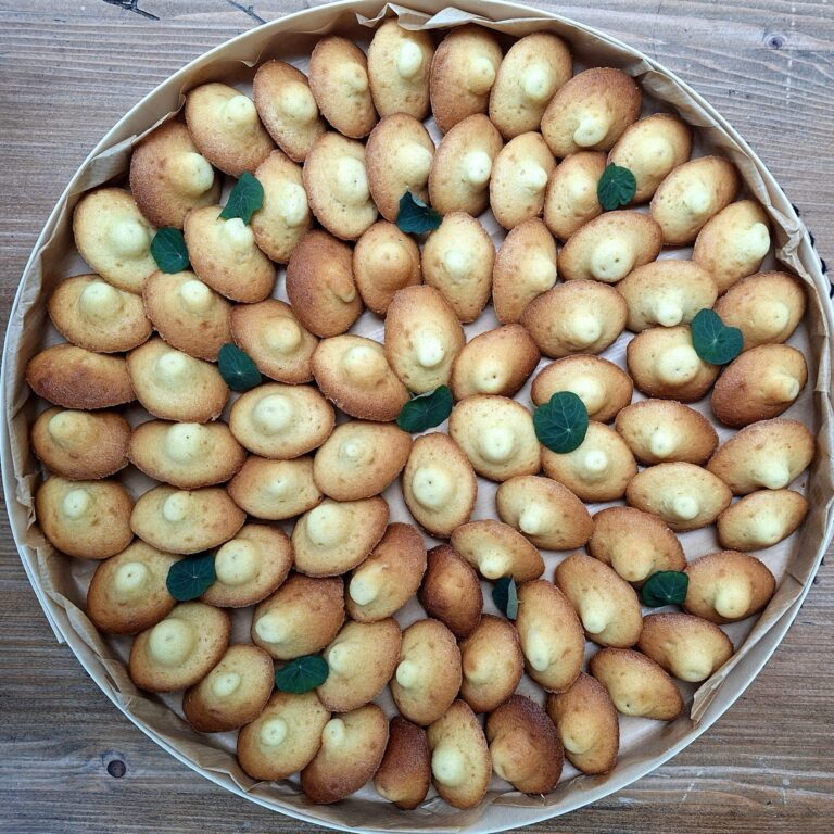 Mini madeleines natures
